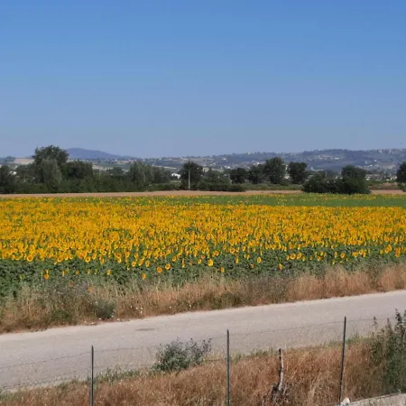 Di Claudia In Campagna, Locazione Turistica * Spoleto