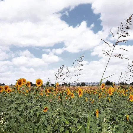 Di Claudia In Campagna, Locazione Turistica 公寓