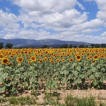 Di Claudia In Campagna, Locazione Turistica *
