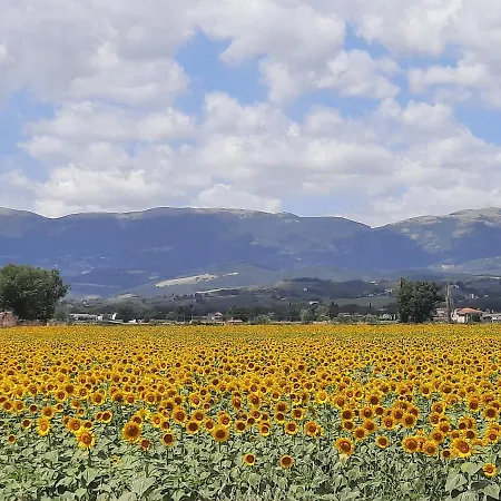 Di Claudia In Campagna, Locazione Turistica