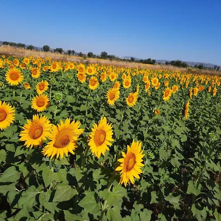 Di Claudia In Campagna, Locazione Turistica